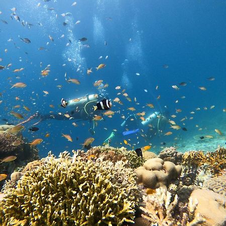La Pang Resort 라팡리조트 Panglao Εξωτερικό φωτογραφία
